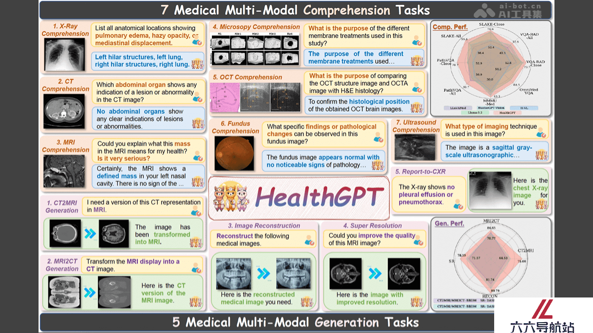 HealthGPT
