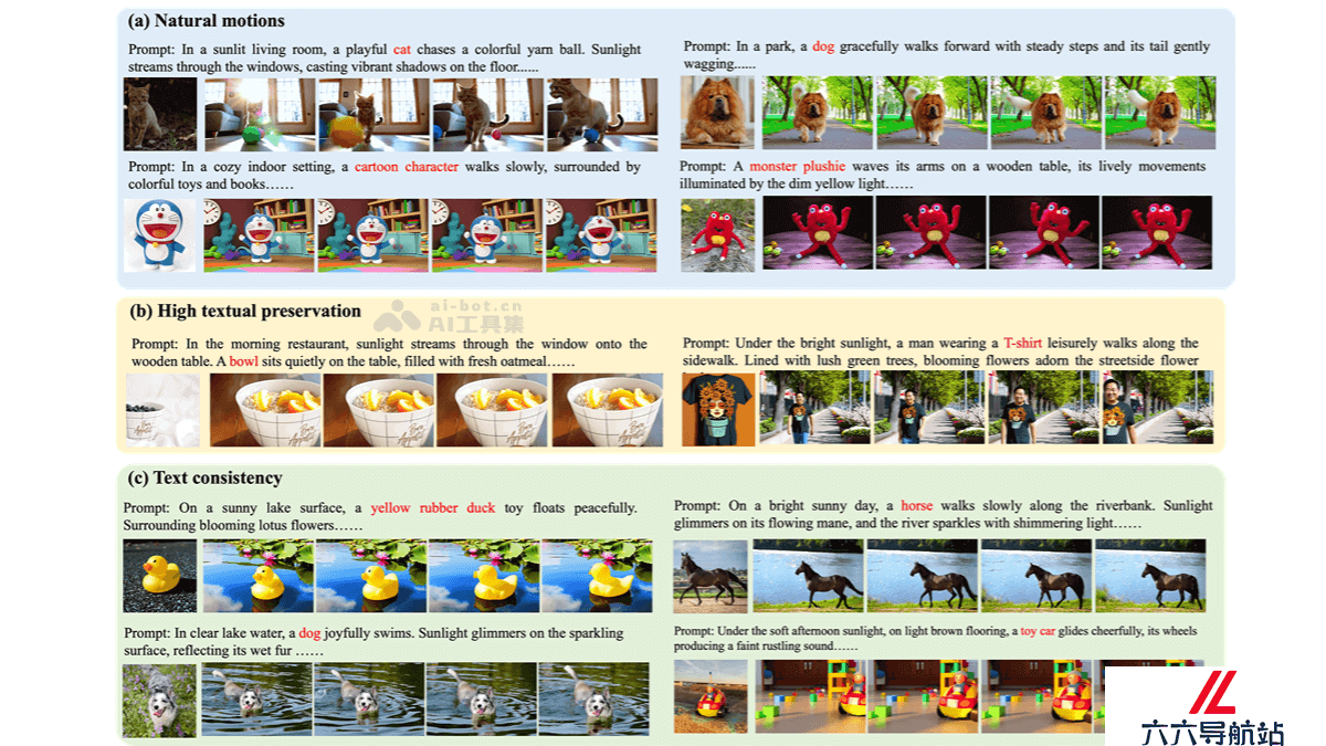 CustomVideoX