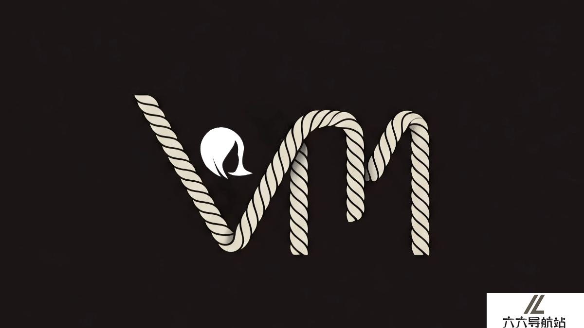 VisoMaster